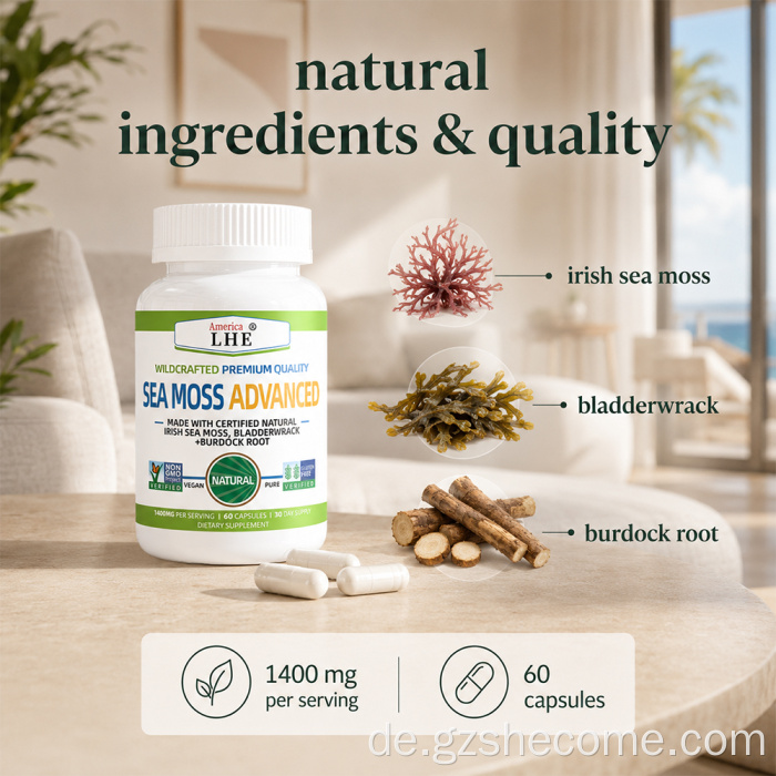 Shecome Sea Moss Advanced Capsules Immununterstützung
